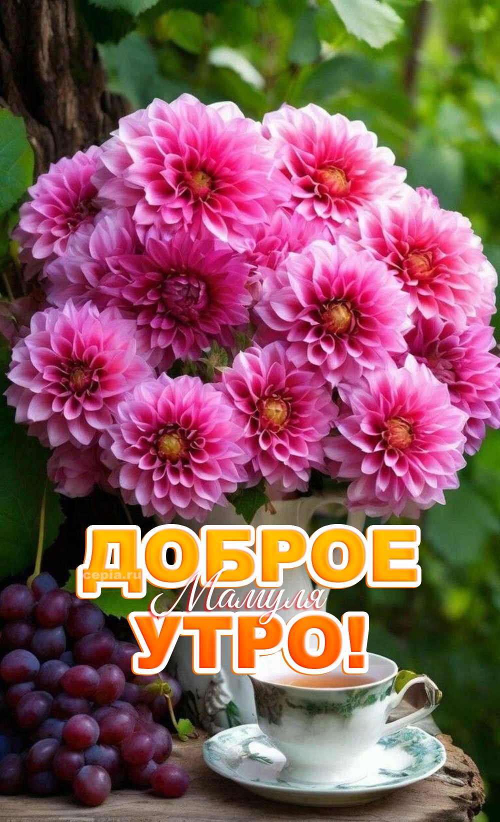 🎉 Моя драгоценная мамочка, доброе утро! Я хочу пожелать тебе, чтобы каждый твой вдох сегодня был полон радости, каждый выдох — облегчения, а каждый удар сердца — любви