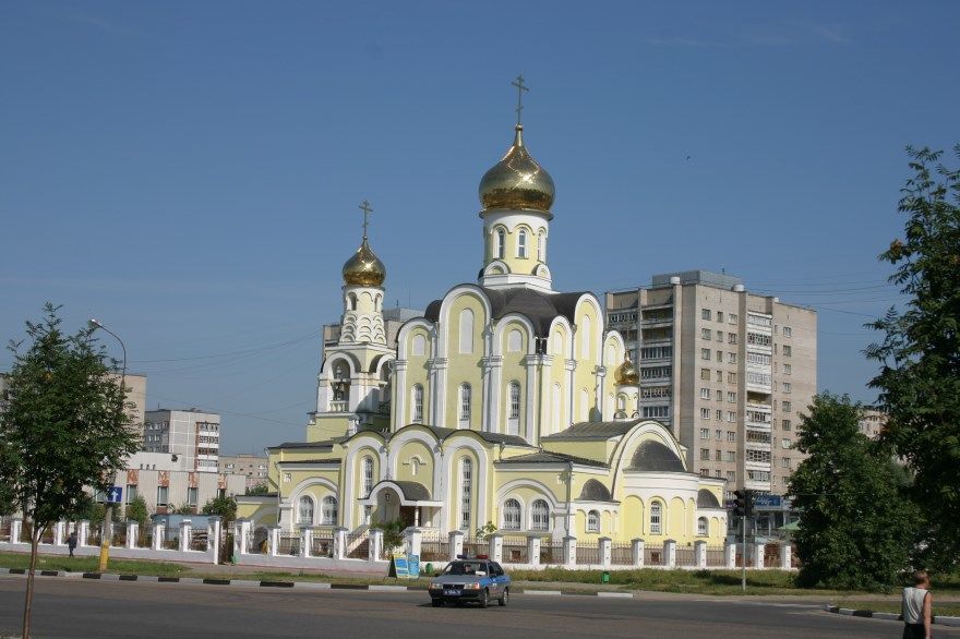 Лебедь для, обнинск картинки города
